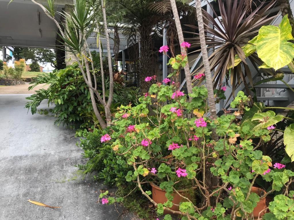 Coffs Shearwater Motel Coffs Harbour Exterior foto